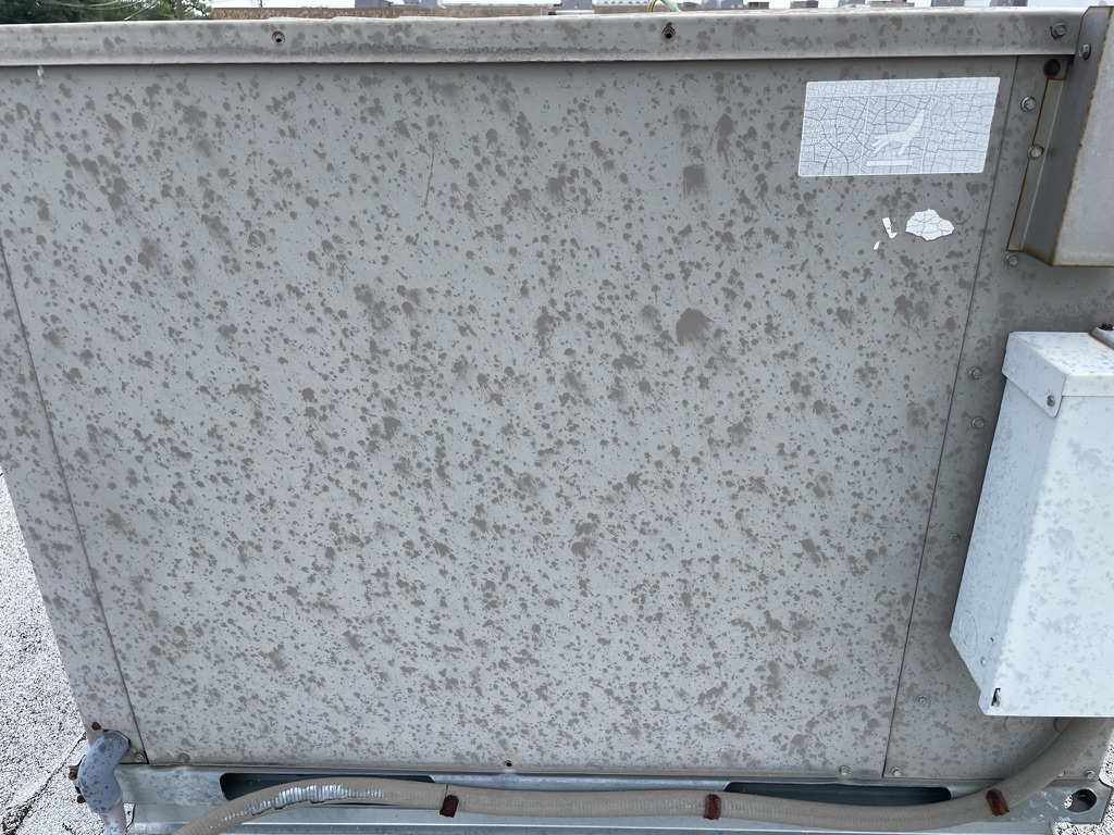 Granule build up collecting toward the drip edge, a telltale sign of hail damage on a commercial roof